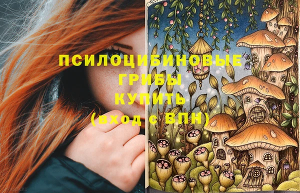 эйфоретик Белоозёрский