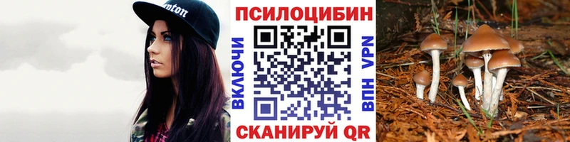 площадка какой сайт  Севск  Галлюциногенные грибы мицелий 