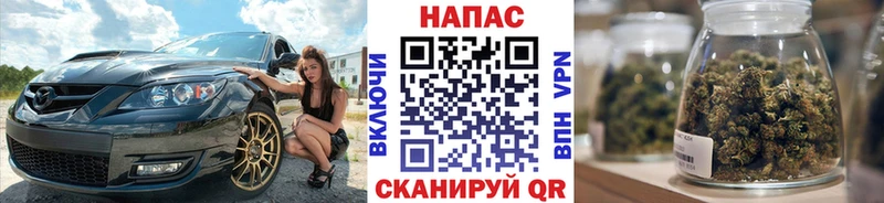 цена наркотик  Севск  Канабис сатива 